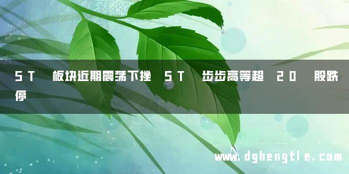 ST 板块近期震荡下挫 ST 步步高等超 20 股跌停